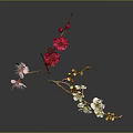 Colorful Plum Blossom Branches With Pink Red White Flowers And Buds