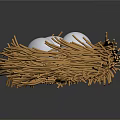 Three White Eggs Resting In A Natural Straw Nest On Dark Surface 3d model