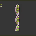 Colorful DNA Helix Model Toy With Plastic Building Segments For Education