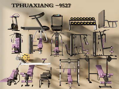 Fitness Equipment Collection Featuring Treadmills Dumbbells Exercise Benches And Strength Machines 3d model