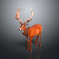 Majestic Brown Deer With Impressive Large Antlers Standing On Gray Background