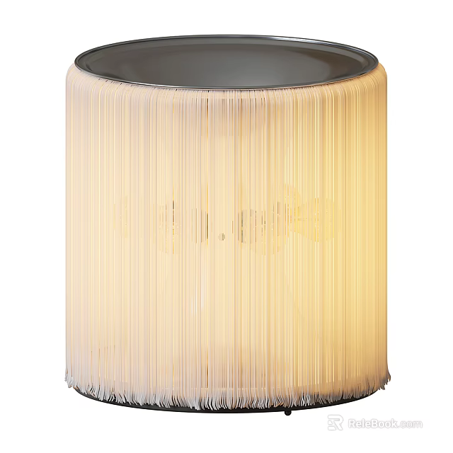 Modern Floor Lamp With Fringe Design Cylindrical Fabric Shade And Warm Illumination 3d model 