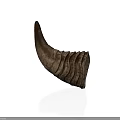 Cow Horn With Natural Texture And Curved Shape On White Background