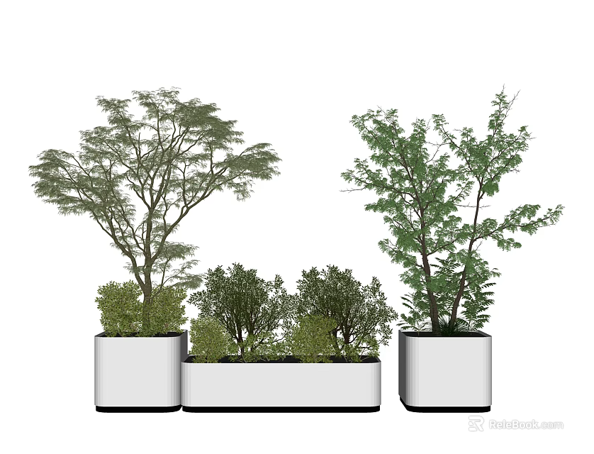 Bonsai Potted Plants in White Pots with Tall Trees and Small Shrubs 3d model 