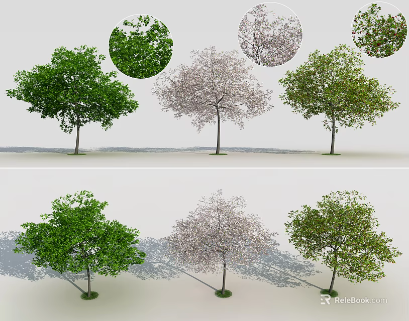 Different Arbor Trees With Green And Pink Leaves And Shadow Effects 3d model