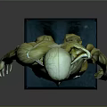 Detailed Human Anatomical Head Model Showing Skull Facial Muscles And Bone Structure