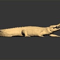 Modern Crocodile Alligator Nile Crocodile carnivore 3d model