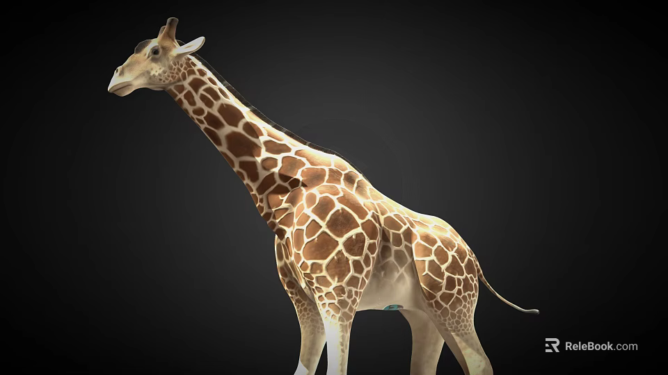 Realistic Giraffe 3D Model With Brown White Spots And Long Neck Standing On Black Background 3d model 