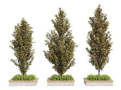 Modern Tree Pond 3d model