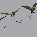Bird Gathering 3d model