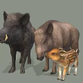 Three Reptiles of Different Sizes with Varied Color Patterns and Textures