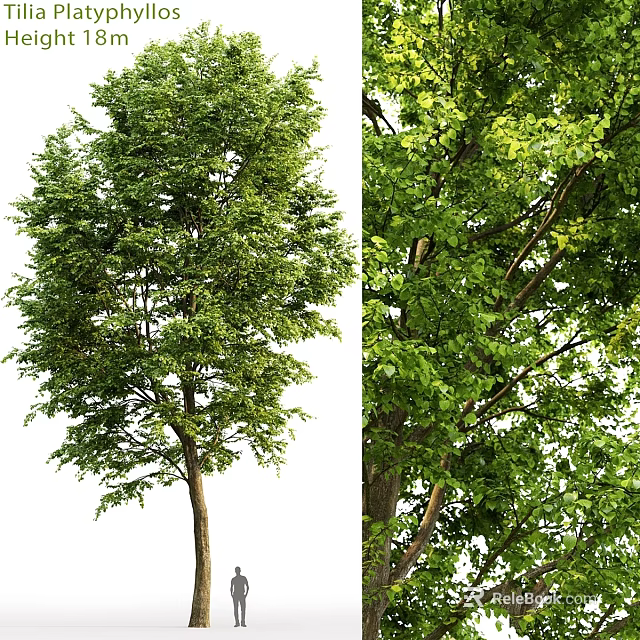 Leafy Green Decorative Ornament Set With Multiple Trees And Natural Trunk Design 3d model 