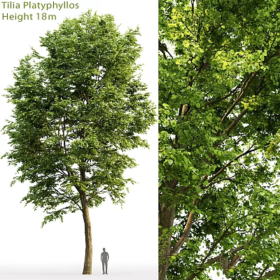 Leafy Green Decorative Ornament Set With Multiple Trees And Natural Trunk Design 3d model