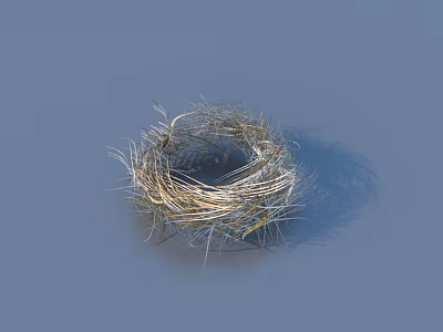 Natural Bird Nest Constructed With Dry Grass And Twigs On Blue Surface 3d model