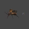 3D Render Of Large Horned Beetle With Spread Wings And Colorful Cube