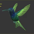 Flying Hummingbird With Blue And Green Feathers Spread Wings In Mid Flight