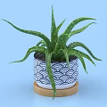 Green Leaf Aloe Vera Bonsai Potted Plant With Blue White Wave Pattern Pot On Wooden Tray