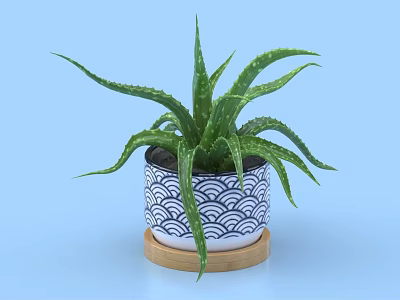 Green Leaf Aloe Vera Bonsai Potted Plant With Blue White Wave Pattern Pot On Wooden Tray 3d model