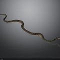 Brown Patterned Snake Curled on Gray Background with Smooth Body
