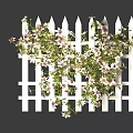 Lush Blooming Vines Growing on White Picket Fence with Pink Flowers