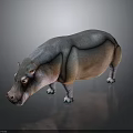 Realistic 3D Hippopotamus Figure With Gray Pink Body Green Feet On Dark Reflective Background