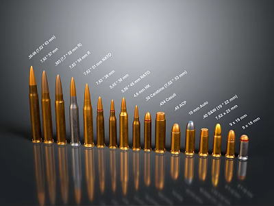 Assorted Caliber Bullets Arranged By Size As Weapon Ammunition 3d model