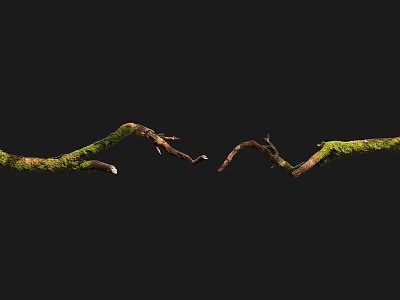 Modern trunk branches 3d model