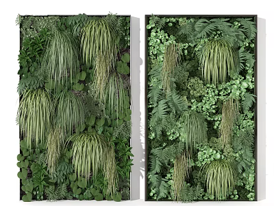Lush Living Plant Wall With Hanging Grasses Ferns and Diverse Greenery for Indoor Vertical Garden Design 3d model