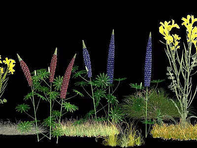 Vibrant Yellow and Purple Garden Flowers with Fresh Green Leaves and Lush Grass 3d model