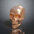 Golden Human Skull Organ Model With Shiny Surface And Detailed Facial Features