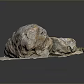 Unique Stone Wood Art Piece With Natural Form And Detailed Texture For Interior Decor