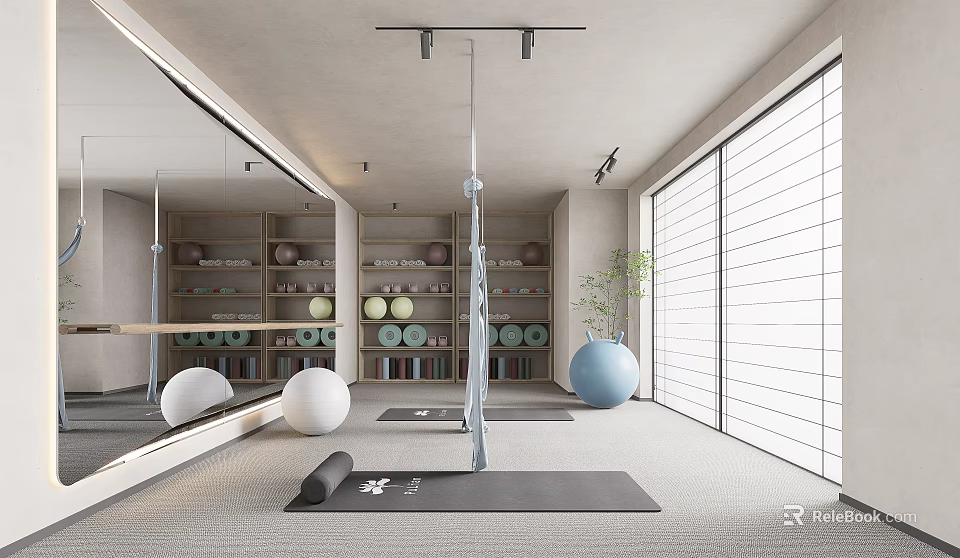 Bright Yoga Room With Exercise Balls Bookshelves Plants And Mirrored Walls 3d model 