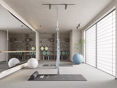 Bright Yoga Room With Exercise Balls Bookshelves Plants And Mirrored Walls 3d model