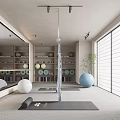 Bright Yoga Room With Exercise Balls Bookshelves Plants And Mirrored Walls