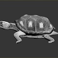 Turtle Turtle Cartoon Turtle Snapping Turtle Chickbill Turtle Reptile Cold Blooded Animal Reptile Reptile Class 3d model