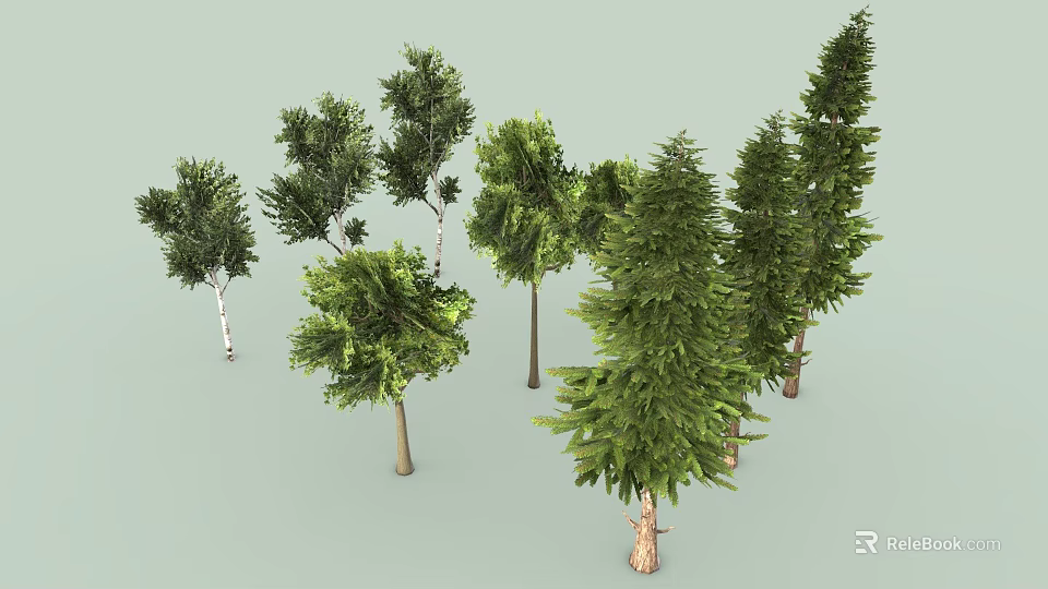 Various Types of Trees with Lush Green Foliage Different Heights and Natural Trunk Details 3d model 