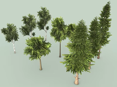 Various Types of Trees with Lush Green Foliage Different Heights and Natural Trunk Details 3d model