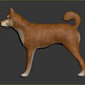 Shiba Inu Stuffed Toy With Orange Fur Curly Tail And White Paws In Standing Pose