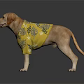 Labrador Dog Wearing Yellow Shirt With Leaf Pattern Standing On White Background