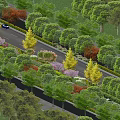Municipal Road with Lush Green Trees Colorful Flowers Wide Paved Surface and Driving Vehicles