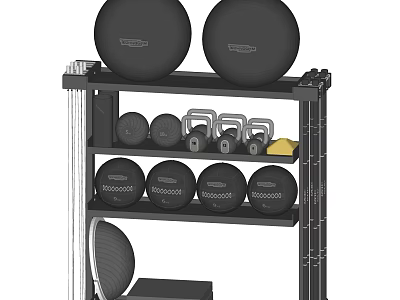 Sports Equipment Storage Rack With Medicine Balls Kettlebells And Large Fitness Balls 3d model