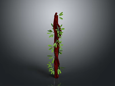 Decorative Indoor Plant With Red Trunk And Green Foliage For Home Decor 3d model