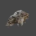 Natural Wild Bird Nest Constructed With Twigs Dry Grass And Small Debris