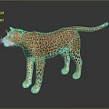 Realistic Standing Leopard With Spotted Fur On Dark Background And Reflection 3d model