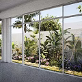 Indoor View Of Outdoor Garden With Diverse Flowering Plants And Tropical Greenery Through Large Glass Windows