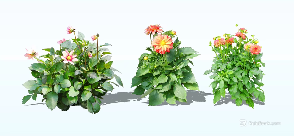 Vibrant Potted Flowers With Pink And Orange Blooms And Lush Green Leaves 3d model 