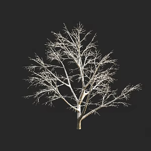 autumn and winter plants shrub tree snow cover 3d model
