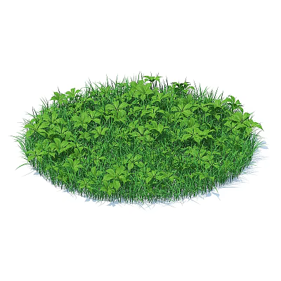 round turf, grass, hay, weed, four-leaf clover 3d model
