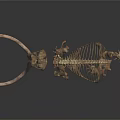 Complete Mammoth Skeleton With Bony Organ Structure And Long Curved Tusks