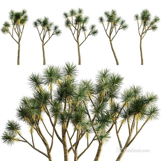 Various Trees with Tall Trunks and Lush Green Foliage in Natural Setting 3d model 